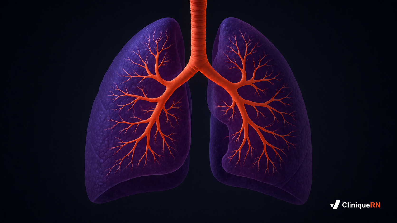 NCLEX Respiratory Questions: COPD, Asthma, Pneumonia & PE Study Guide